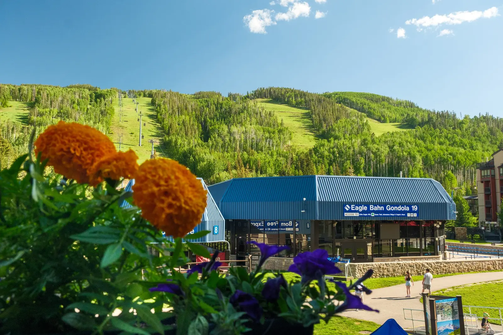 Can’t-Miss Summer Activities on Vail Mountain
