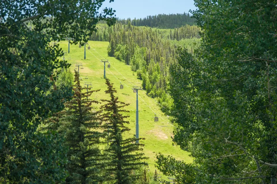 Grassy ski run and chairlift line through summer forest
