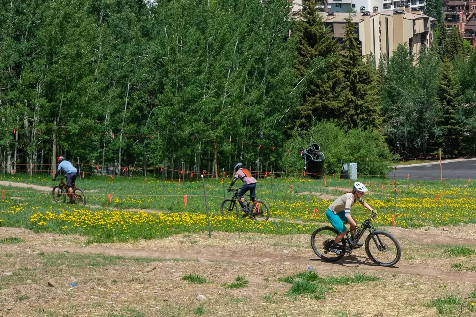 Three mountain bikers crossing a wildflower meadow